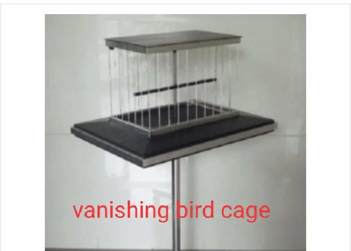 Vanishing Bird Cage