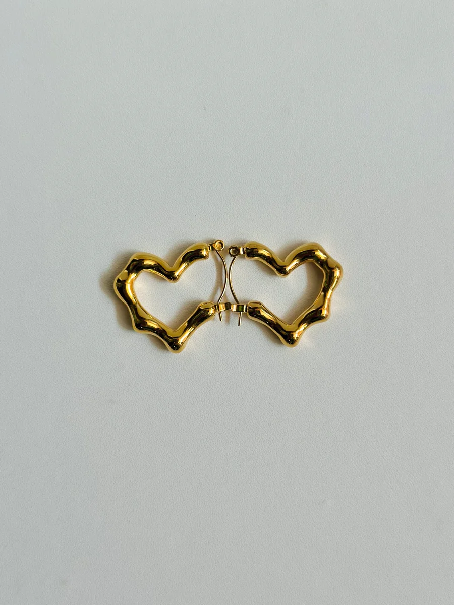 Premium Heart Earrings 2