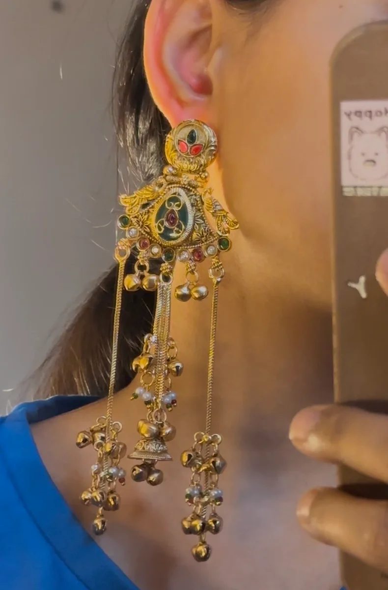 Premium Kashmiri Earrings 2