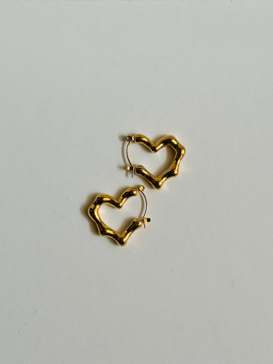 Premium Heart Earrings 3
