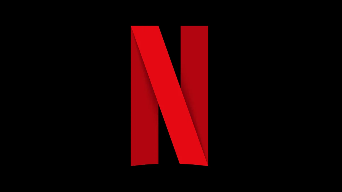 Netflix (non warranty)