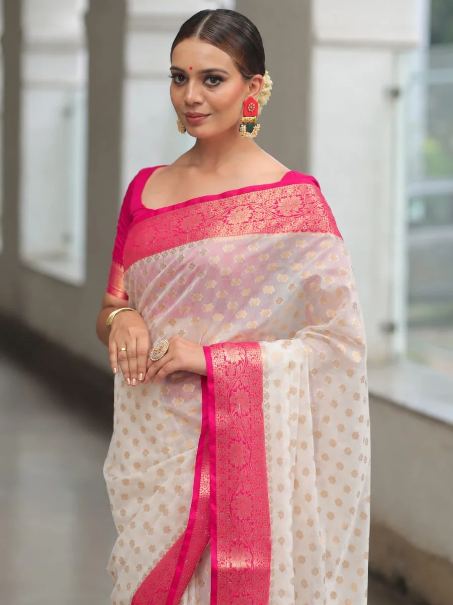Banarasi Georgette Saree