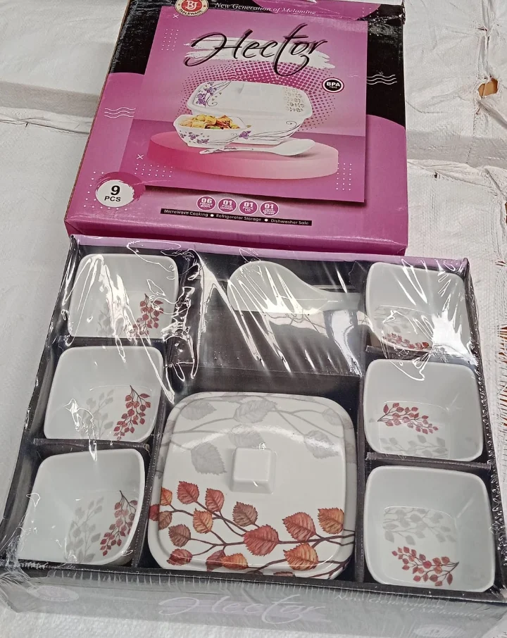 Melamine Dinner Set 9 Pieces Pack