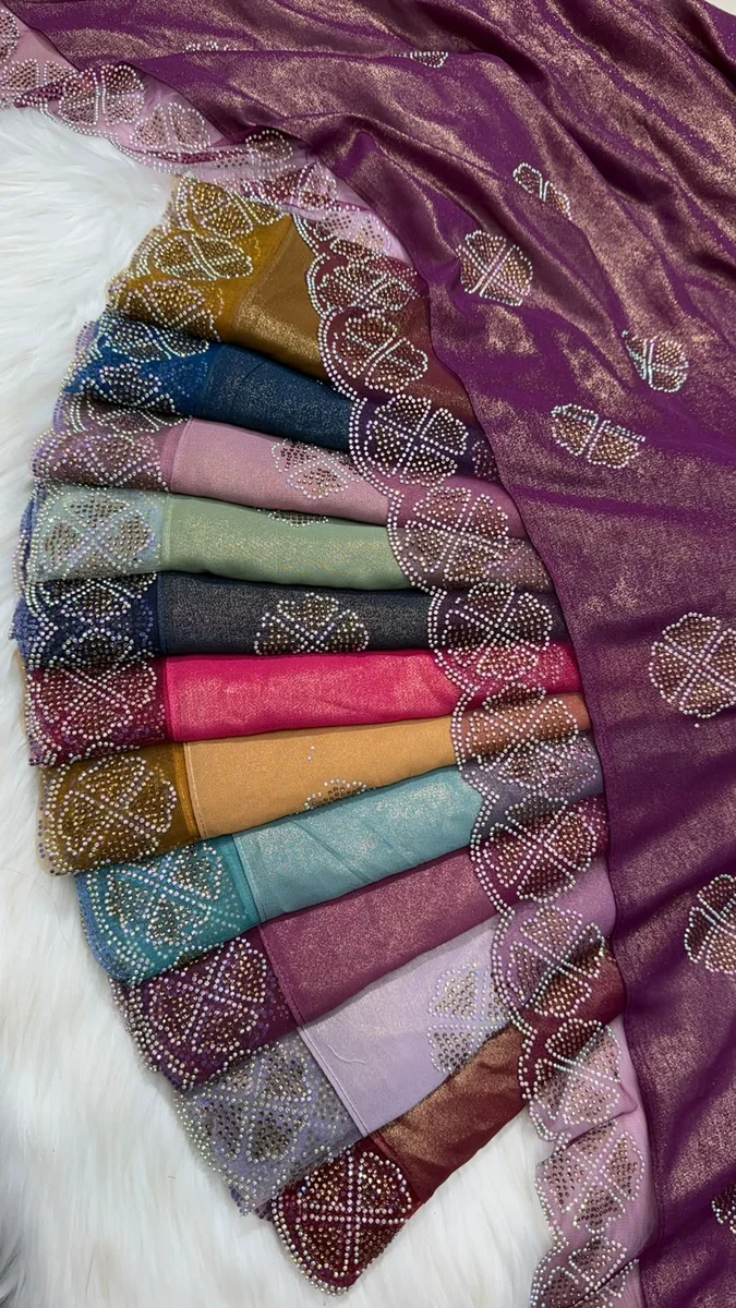 Chiffon Shimmer Border Net Hijab