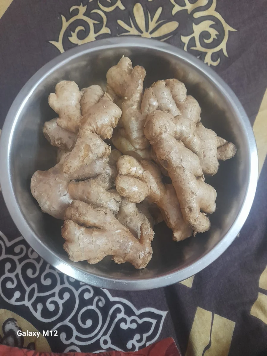 Dry Ginger