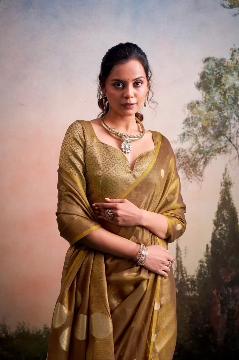 LV207CN221026-2 Tissue silk saree 9