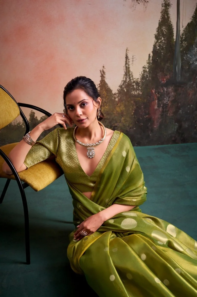 LV207CN221026-2 Tissue silk saree 11