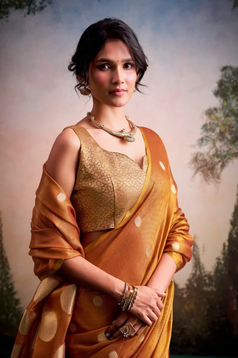 LV207CN221026-2 Tissue silk saree 10