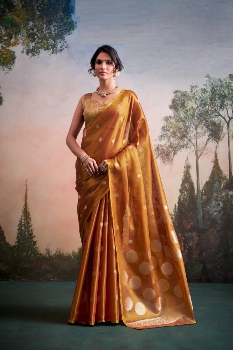 LV207CN221026-2 Tissue silk saree 2