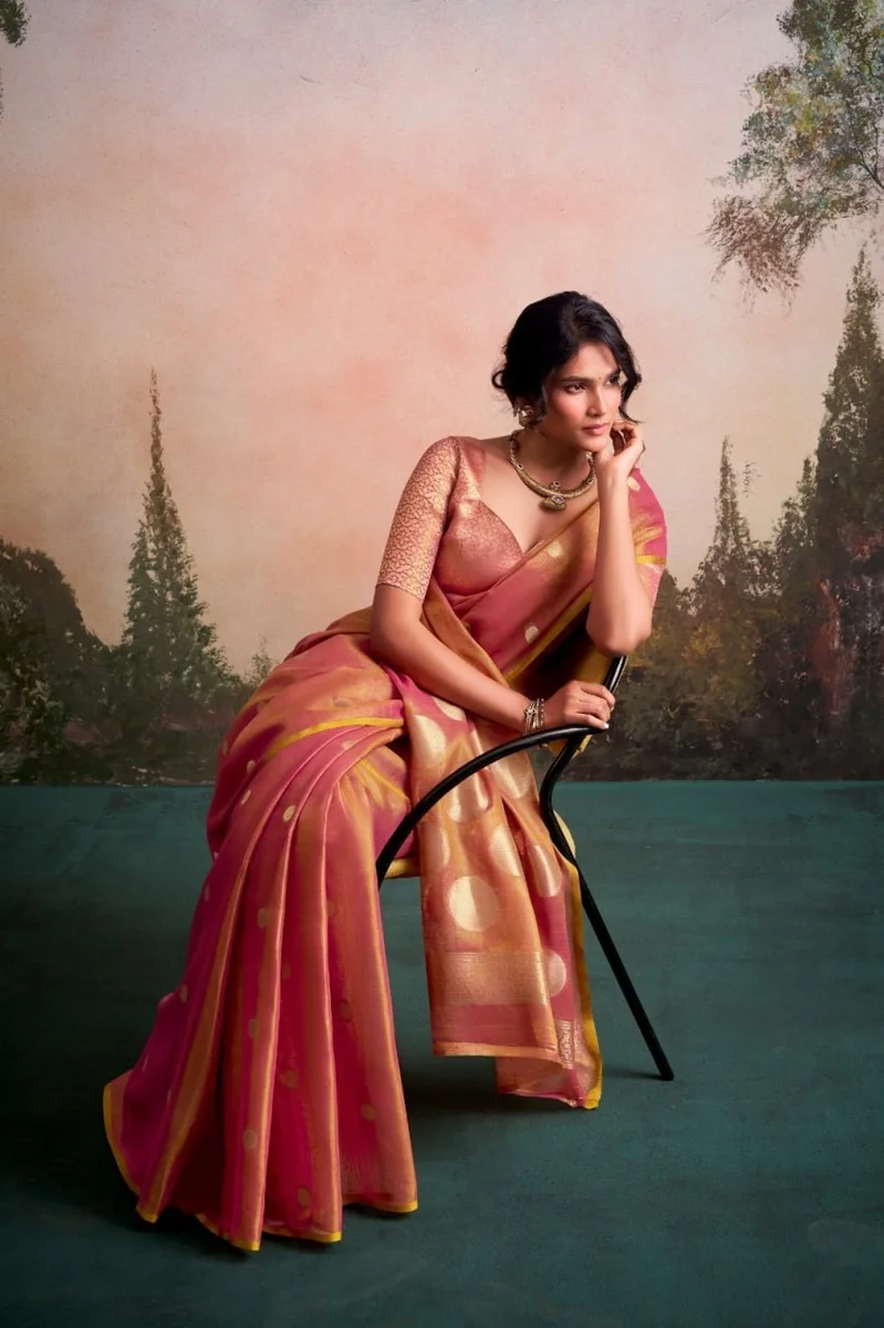 LV207CN221026-2 Tissue silk saree 8