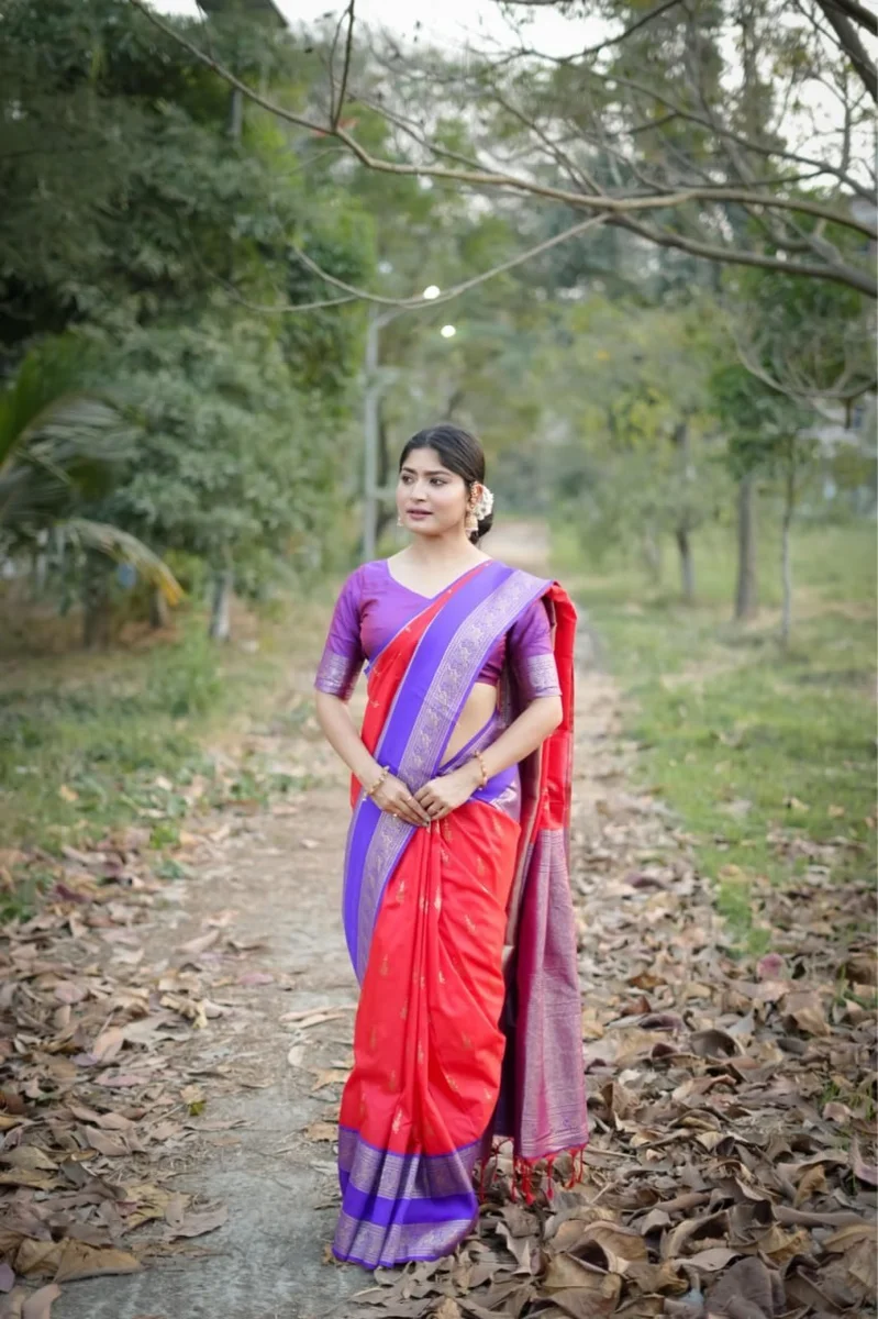 KANCHI BORDER 112 – Premium soft Kanjivaram silk saree with fine Zari weaving pattern by www.Laavsee.com