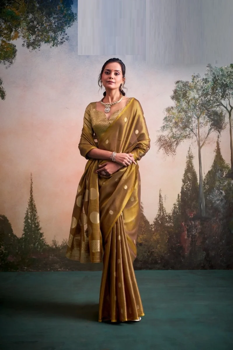 LV207CN221026-2 Tissue silk saree 3