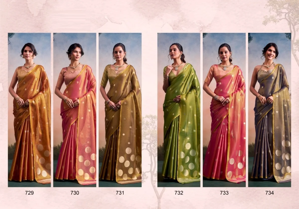 LV207CN221026-2 Tissue silk saree 15