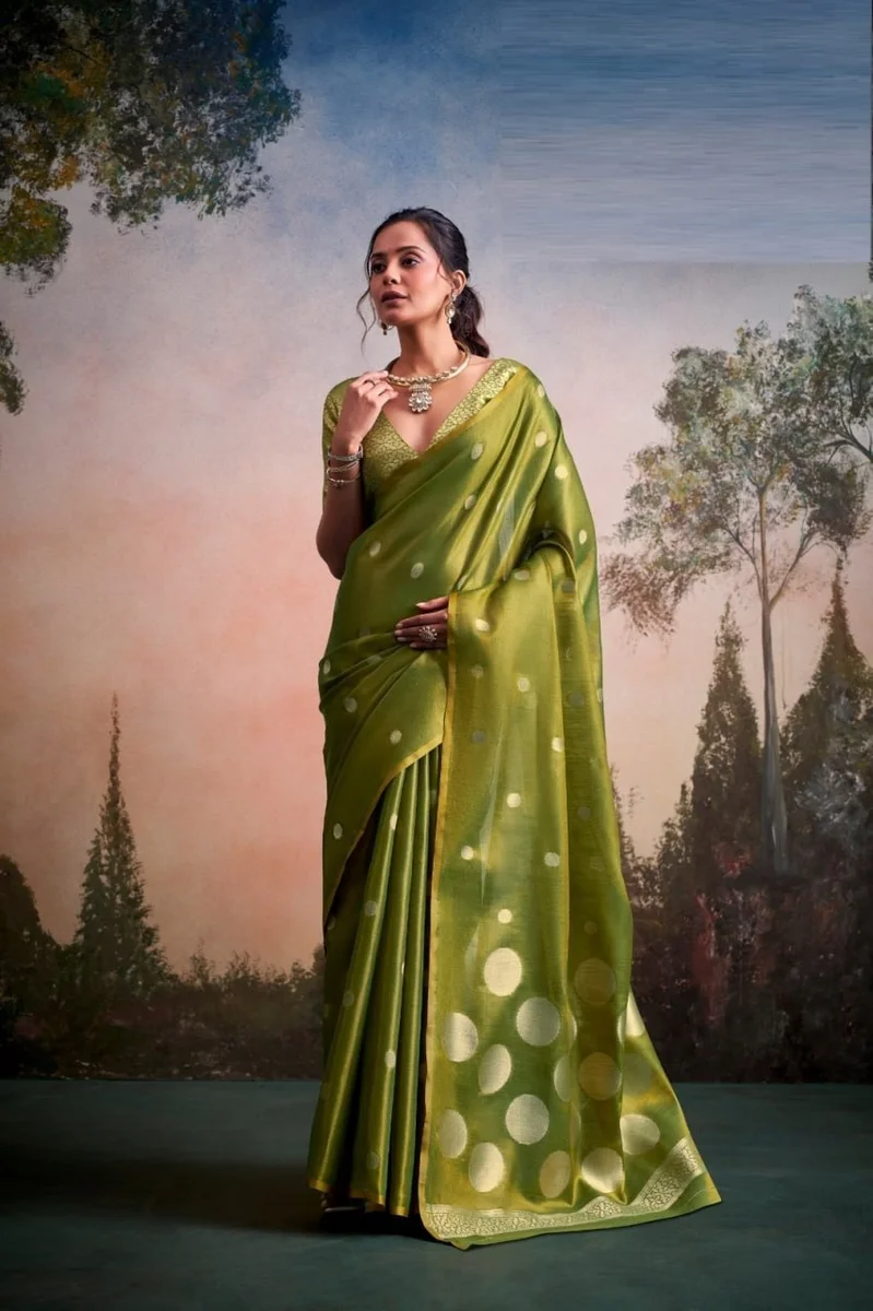 LV207CN221026-2 Tissue silk saree 5