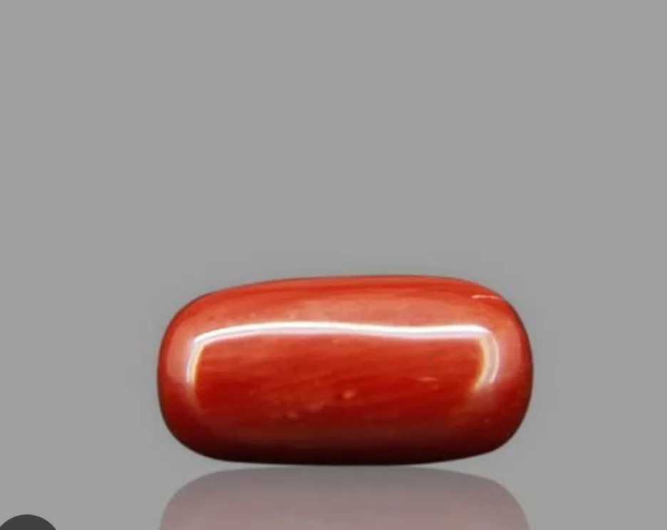 Red coral (Munga, Probal) Italian 6.05 Carats
