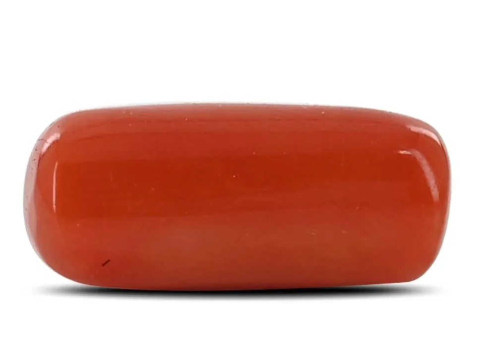 Red coral fake