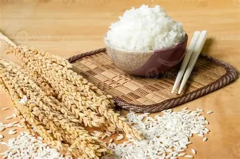 Rice