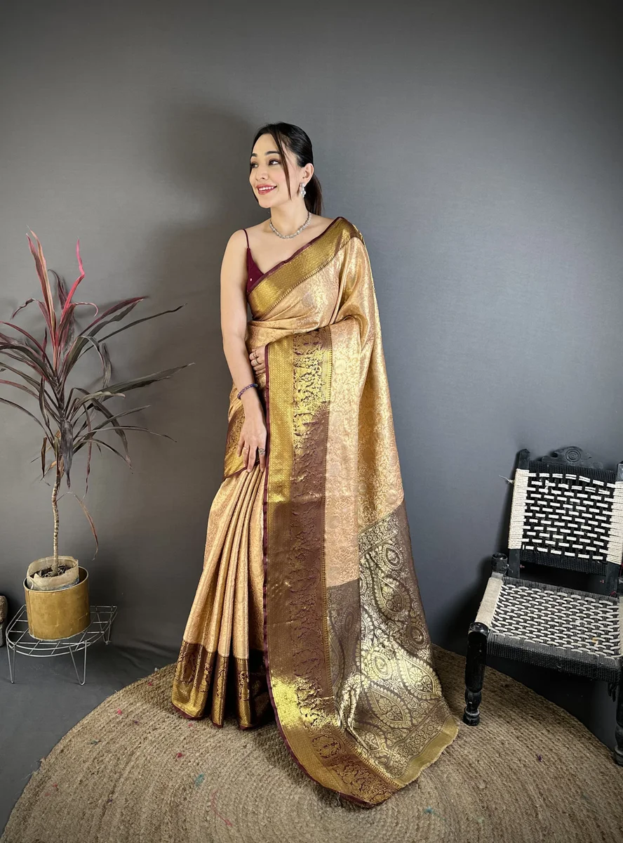 Kanchipuram silk saree