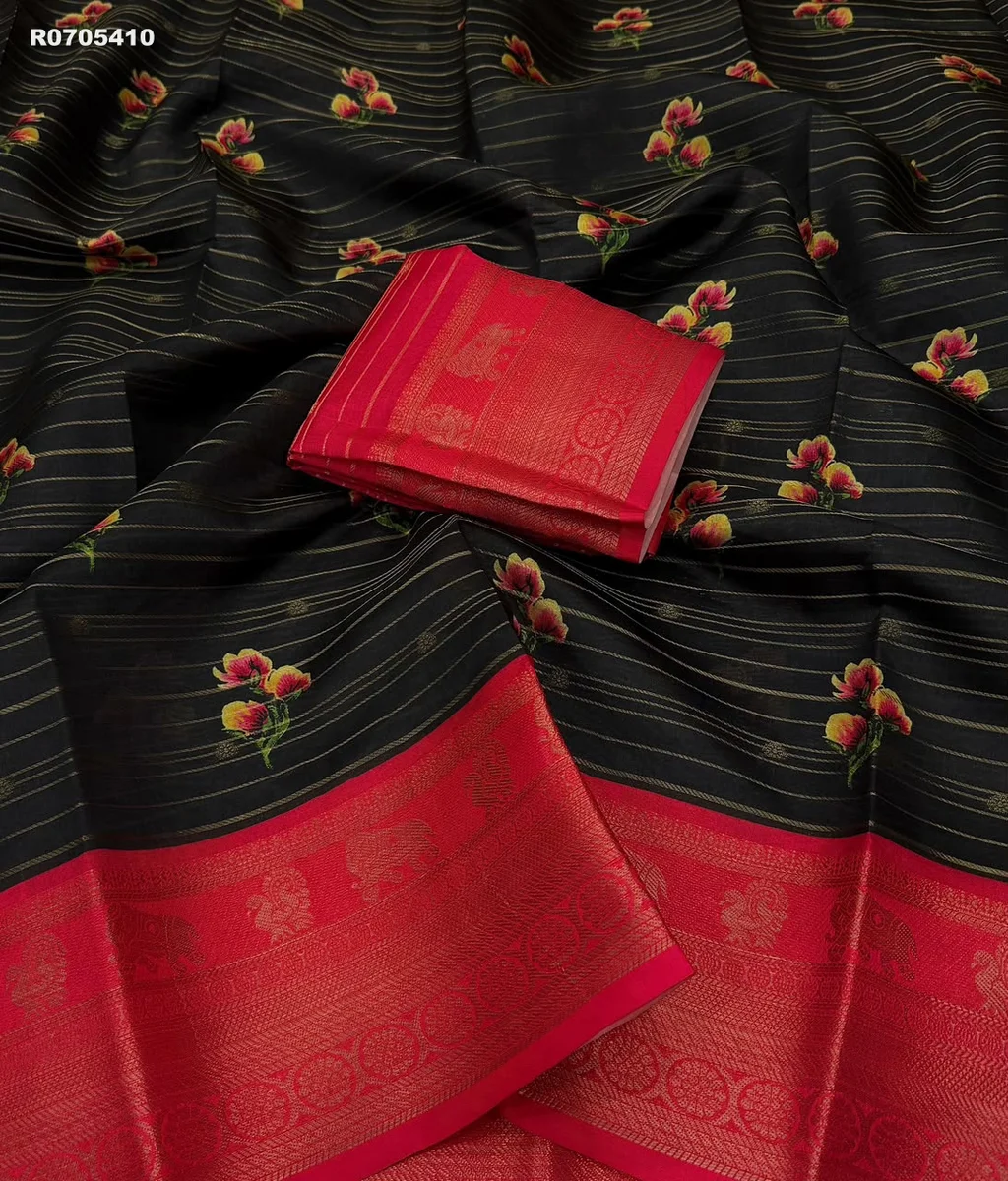 RK ethinics...Presenting amazing New Concept saree... 2