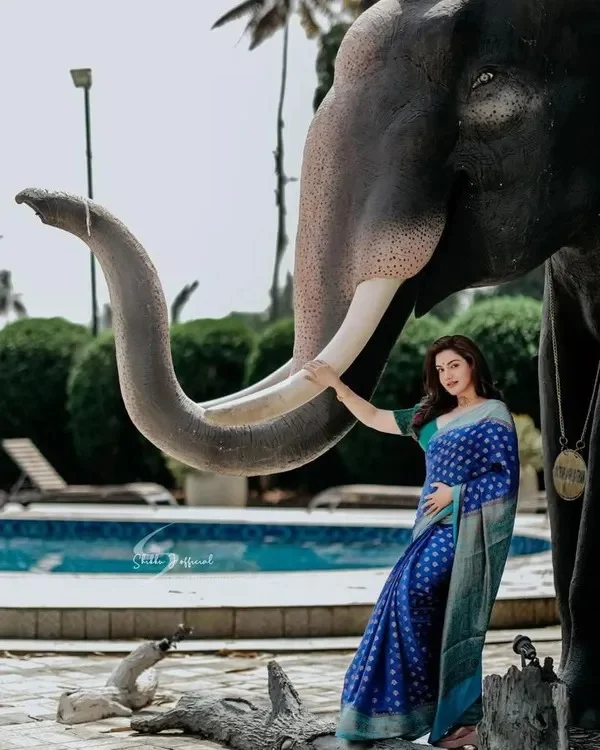 Product ID: NV4-ZvGw  Banarasi Semi-Silk Saree with Unstiched Blouse Piece 7