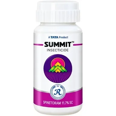 TATA SUMMIT 100 ML
