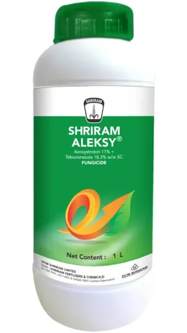 Shriram aleshy