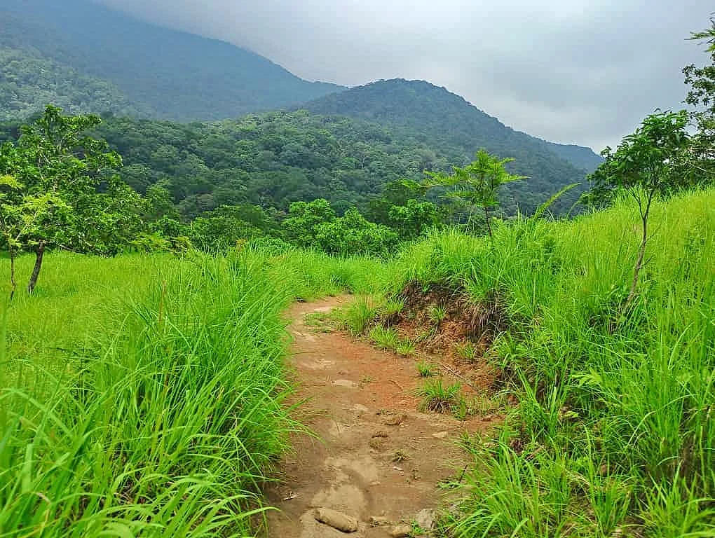 Trekking Packages