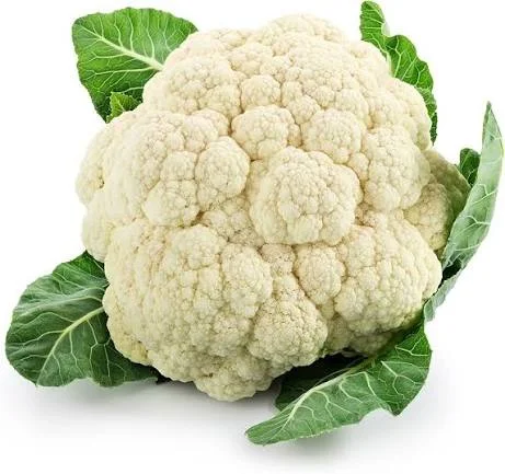 Fresh Vegetables