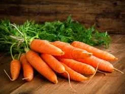 Carrot