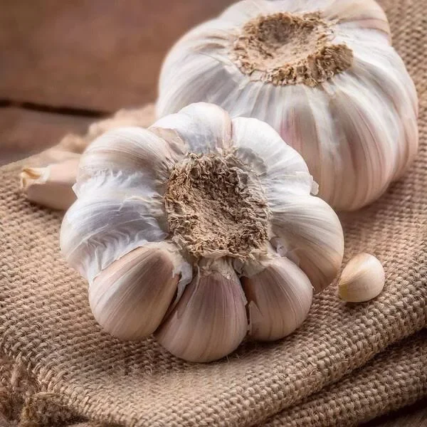 garlic for every items