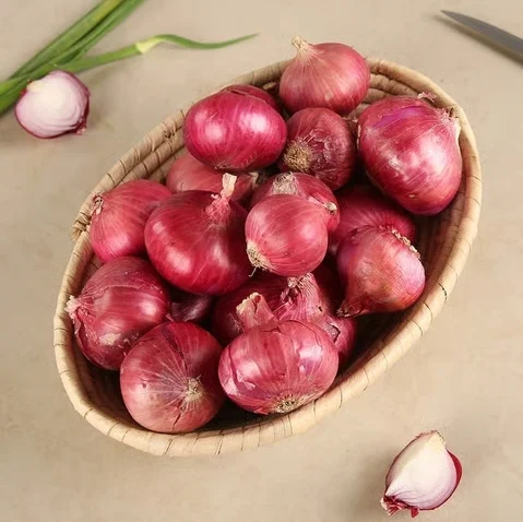 Onion (Pyaz )