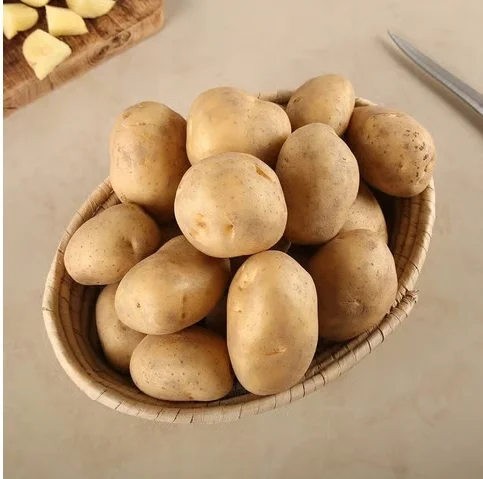 fresh vegetables
