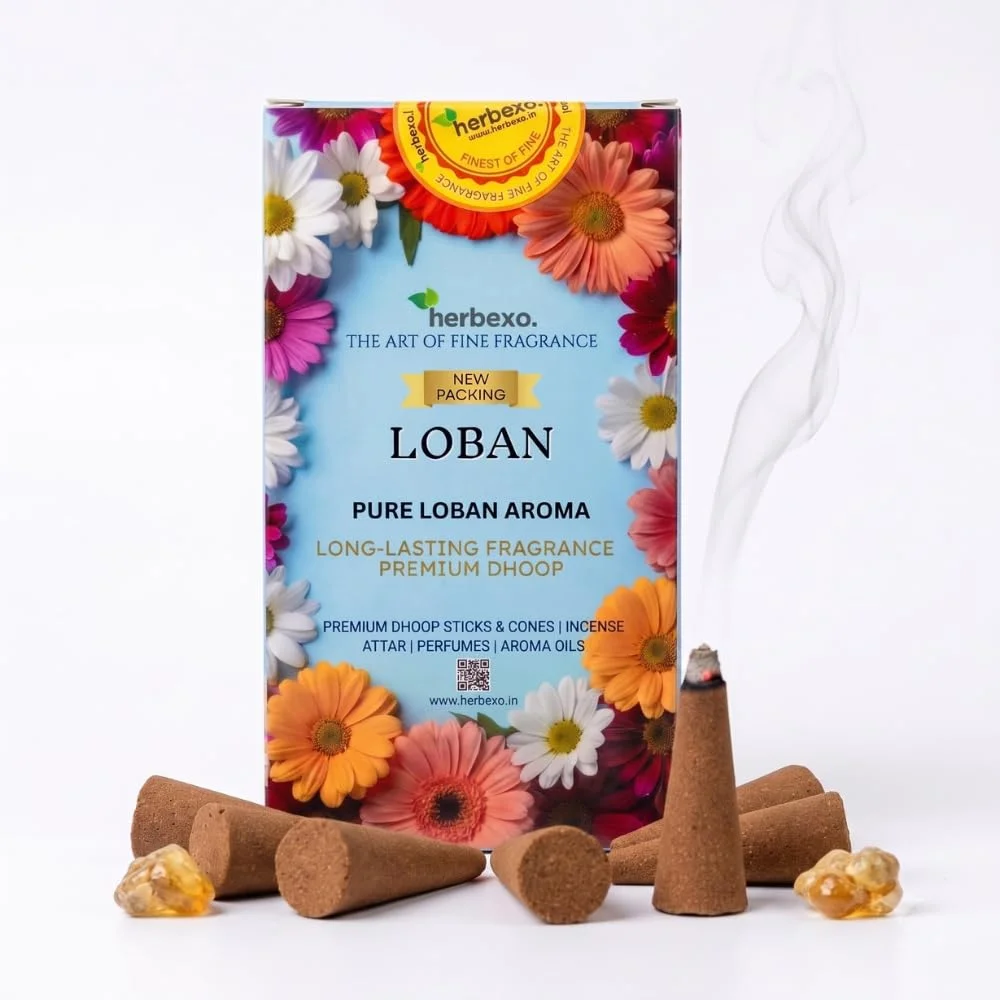 herbexo loban dhoop cones
