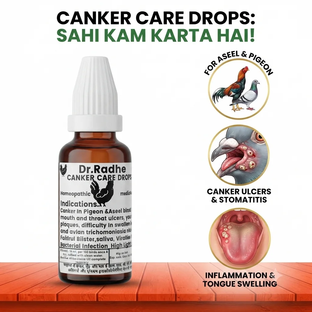 Dr. Radhe's Canker & Throat Ulcer Care Drops for Pigeons & Aseel Poultry - Fast Relief for Yellow Pl