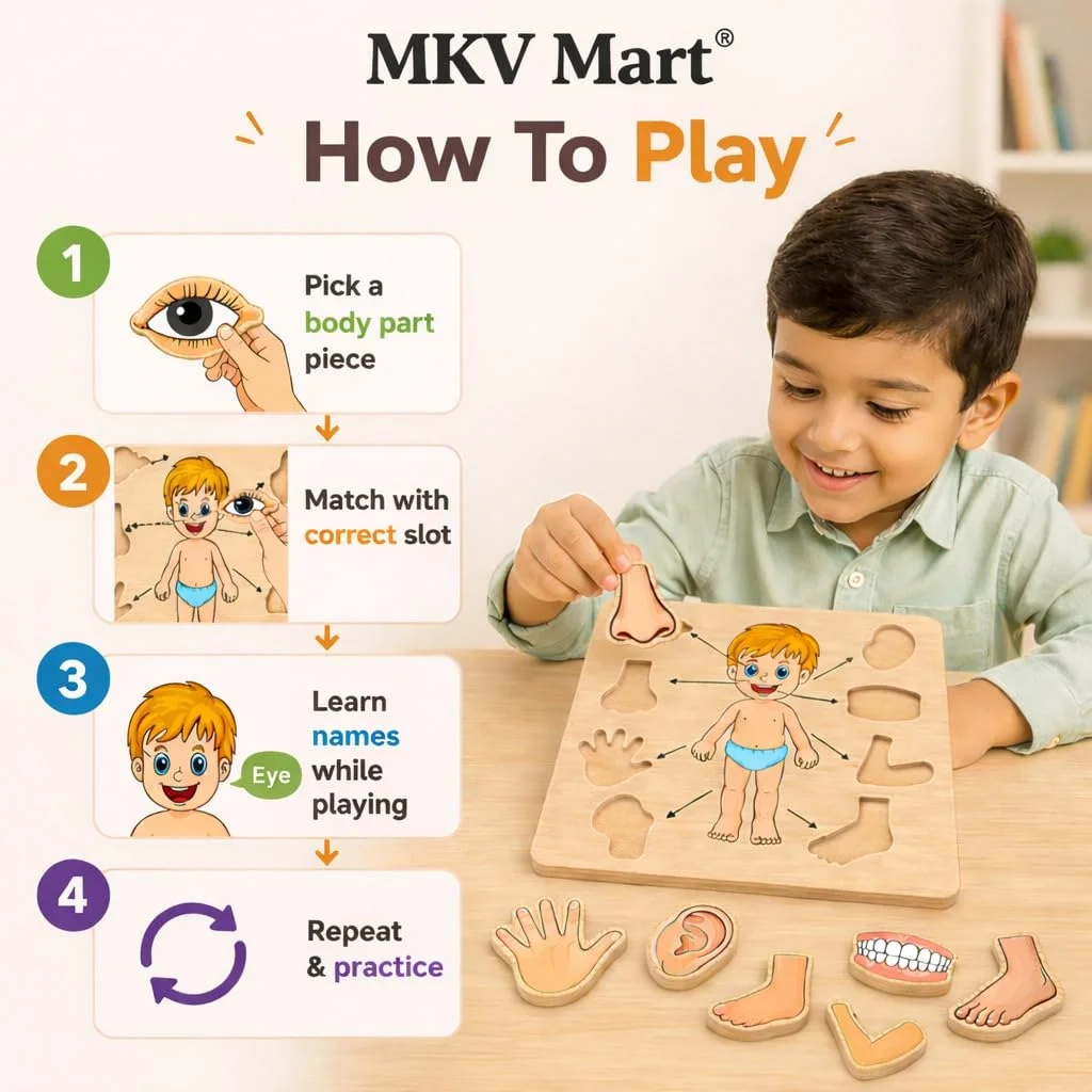 Toyly World™ Wooden Human Body Parts Puzzle for Kids 3+ | Anatomy Learning Jigsaw Puzzle | Educational Montessori Toy 3