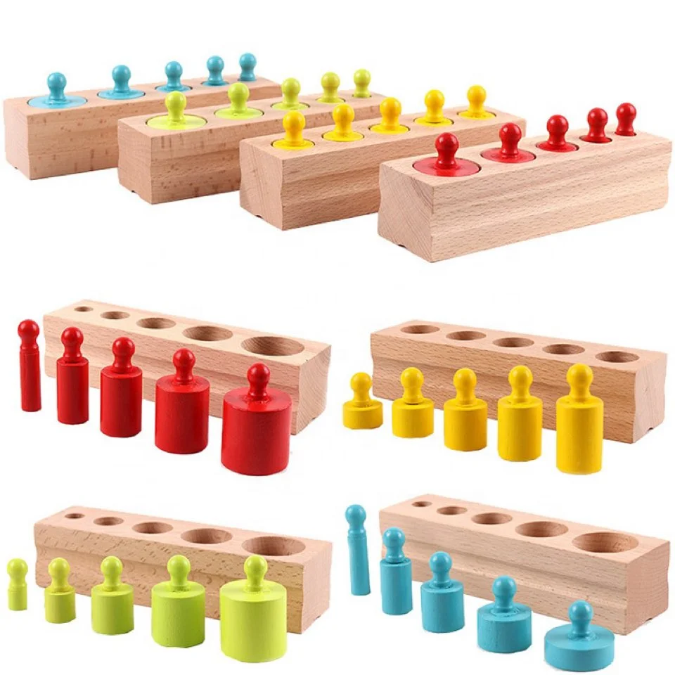 Toyly World™ Montessori Wooden Cylinder Blocks for Kids | Colour Sorting, Size Matching & Early Learning Toy 2