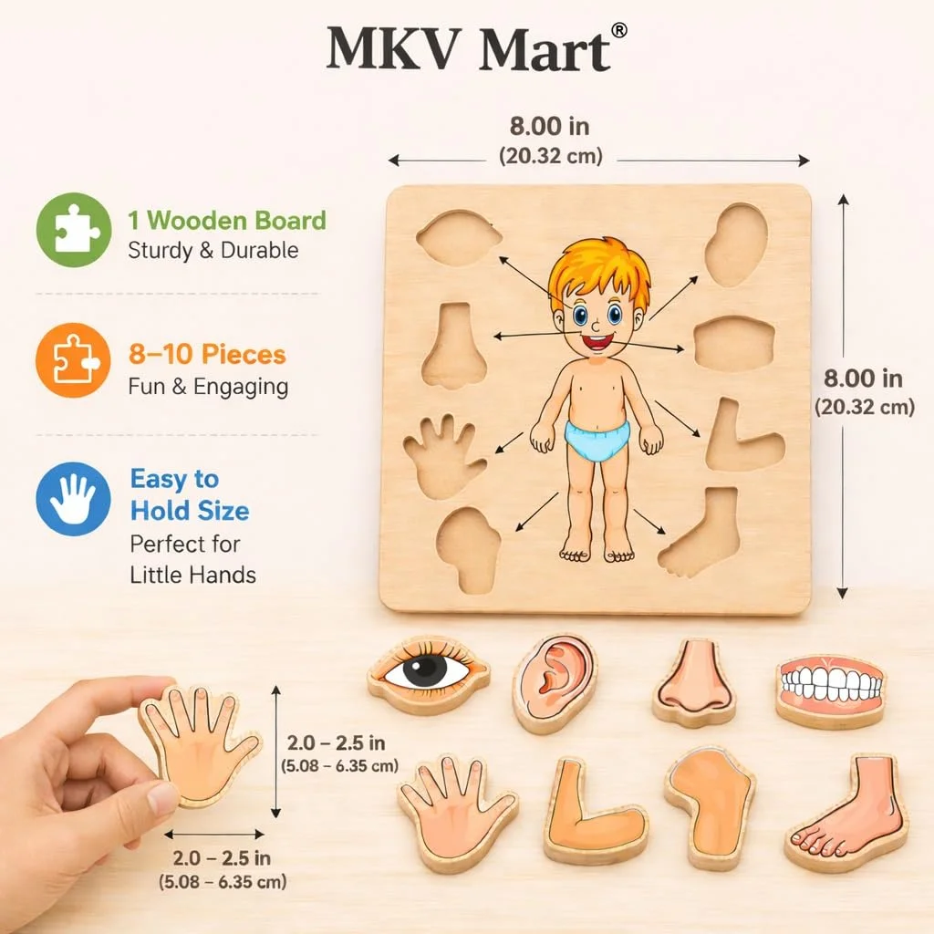 Toyly World™ Wooden Human Body Parts Puzzle for Kids 3+ | Anatomy Learning Jigsaw Puzzle | Educational Montessori Toy 5