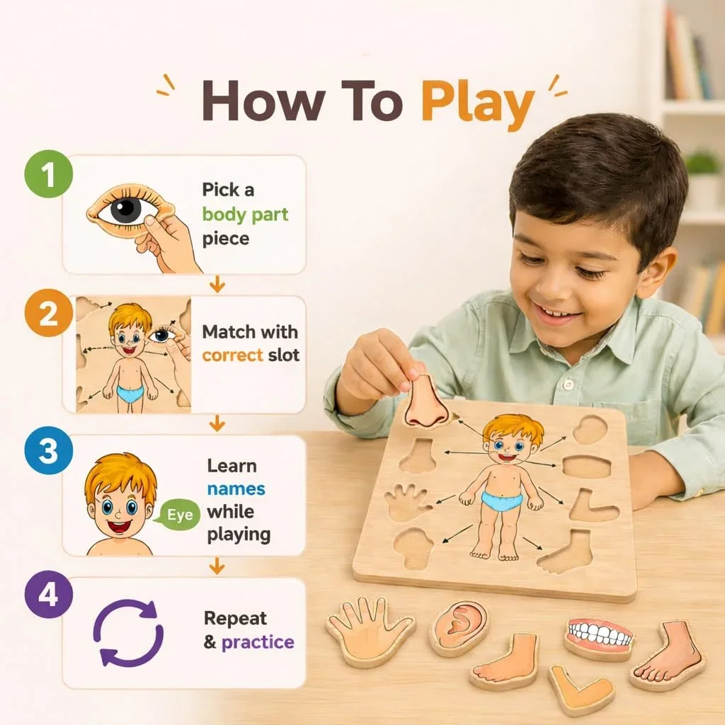 Toyly World™ Wooden Human Body Parts Puzzle for Kids 3+ | Anatomy Learning Jigsaw Puzzle | Educational Montessori Toy 5