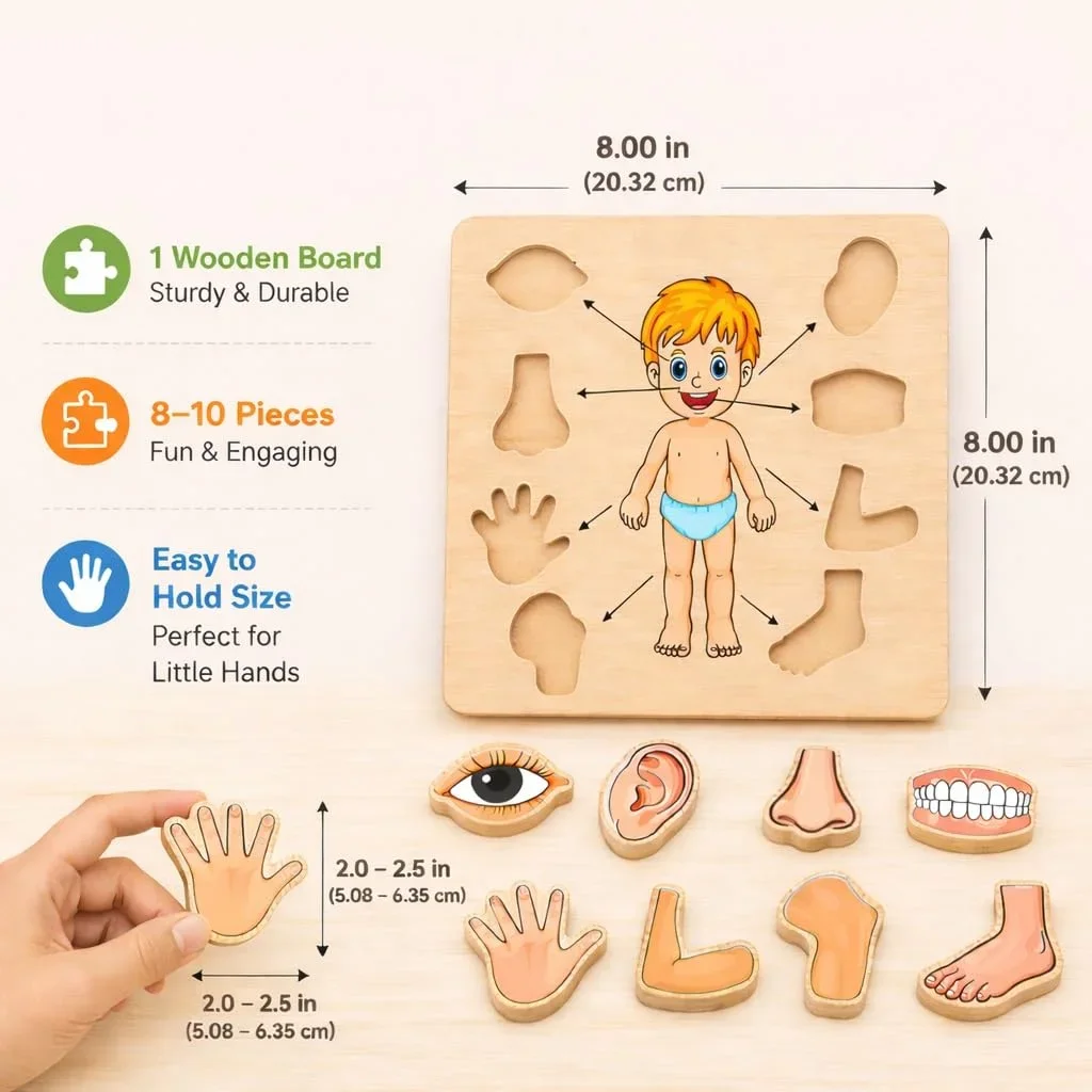 Toyly World™ Wooden Human Body Parts Puzzle for Kids 3+ | Anatomy Learning Jigsaw Puzzle | Educational Montessori Toy 3