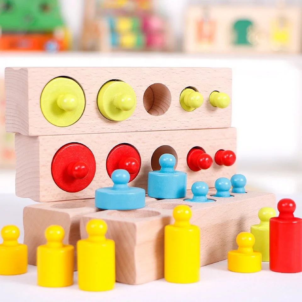 Toyly World™ Montessori Wooden Cylinder Blocks for Kids | Colour Sorting, Size Matching & Early Learning Toy 3