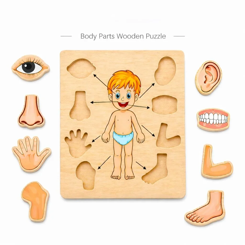 Toyly World™ Wooden Human Body Parts Puzzle for Kids 3+ | Anatomy Learning Jigsaw Puzzle | Educational Montessori Toy 4