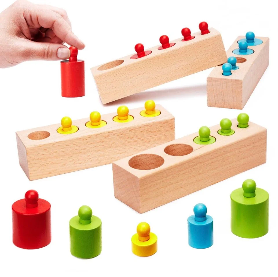 Toyly World™ Montessori Wooden Cylinder Blocks for Kids | Colour Sorting, Size Matching & Early Learning Toy