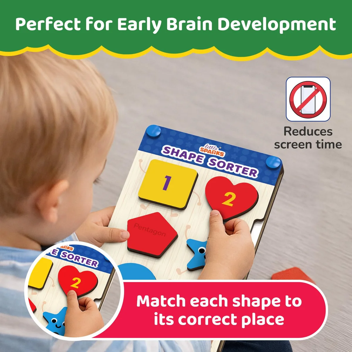 Toyly World™ Wooden Shape Sorter Educational Toy for Kids 2+ | Shape, Colour & Number Matching Learning Game 2