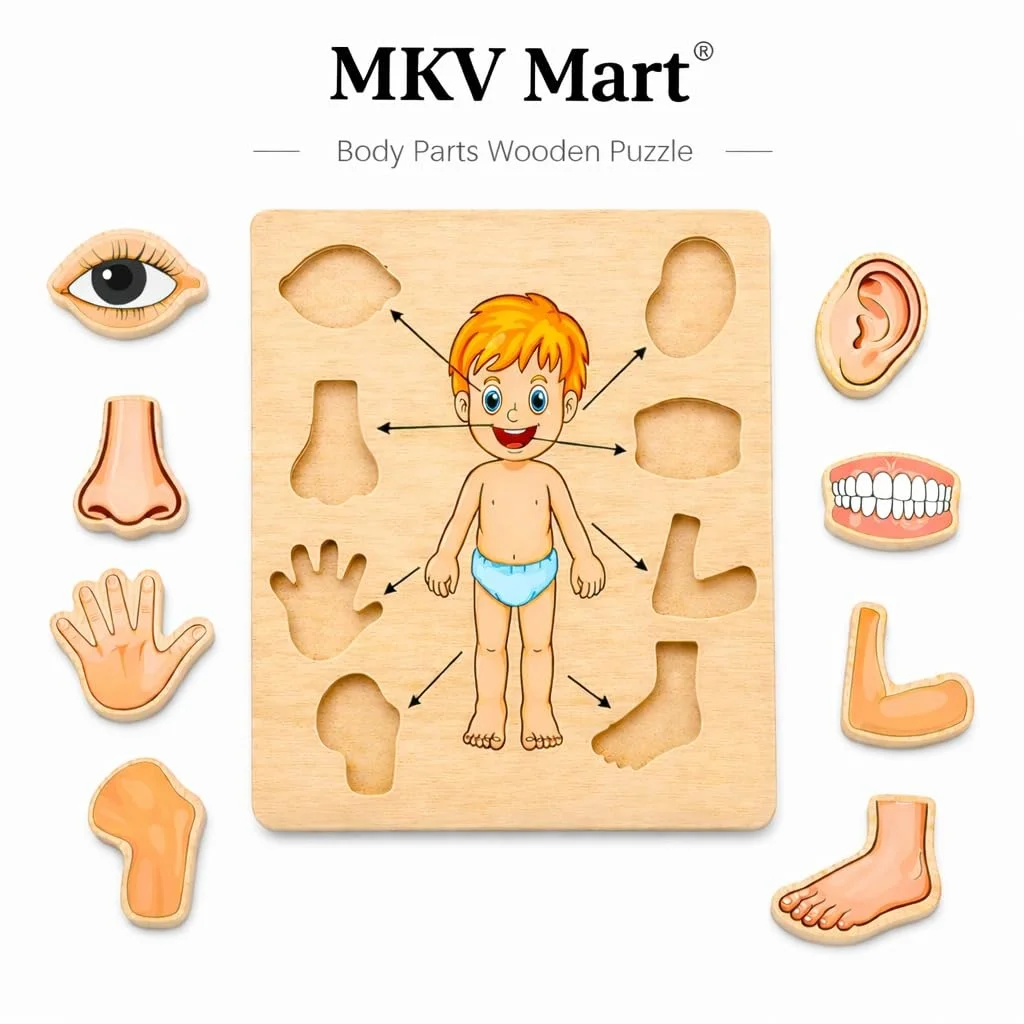 Toyly World™ Wooden Human Body Parts Puzzle for Kids 3+ | Anatomy Learning Jigsaw Puzzle | Educational Montessori Toy 4